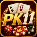 pk11 Earning